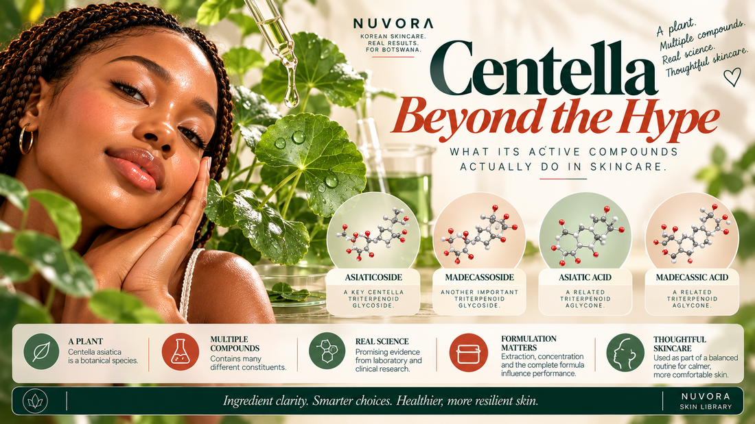 Nuvora guide to Centella active compounds in skincare, highlighting asiaticoside, madecassoside, asiatic acid and madecassic acid and the importance of complete formulation.