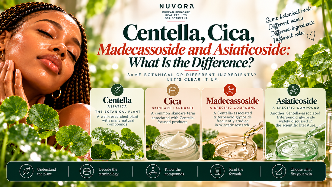 Nuvora guide explaining the difference between Centella asiatica, Cica, madecassoside and asiaticoside in Korean skincare.