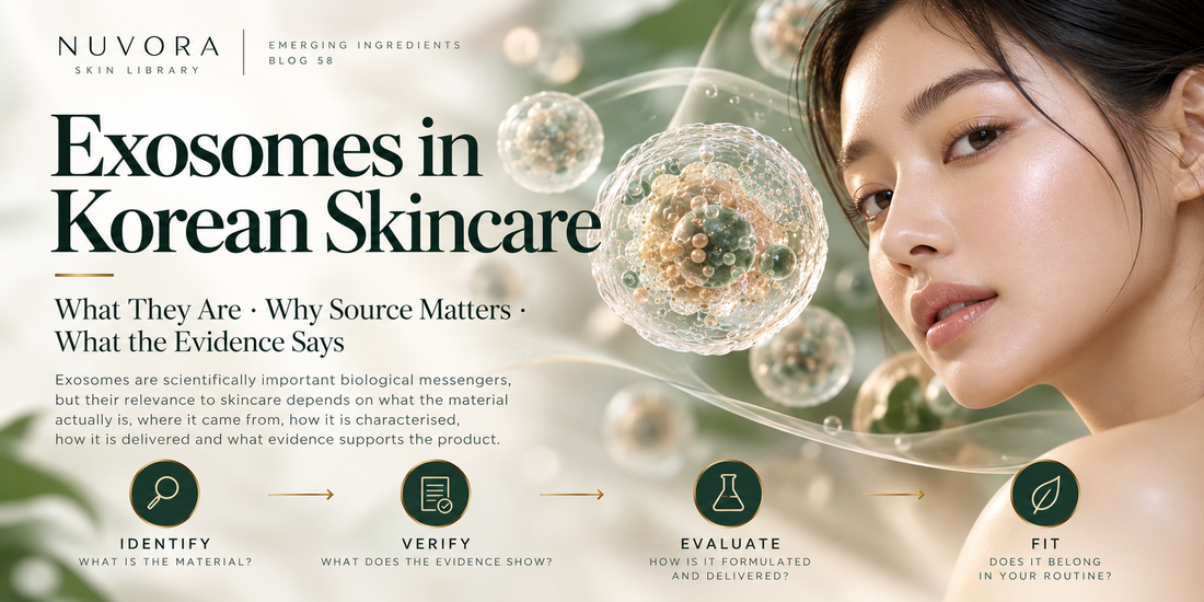 Nuvora Skin Library guide to exosomes in Korean skincare, explaining what exosomes are, why their source matters and how to evaluate the evidence behind topical skincare products.